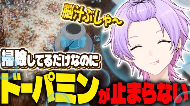 【 絨毯を洗うゲーム 】寝れないアナタといっしょに雑談交えて目と音で楽しむ配信🌈【 #枢らす #個人vtuber 】