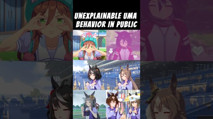 What The Horse Doing? 😭 #umamusume #uma #ウマ娘