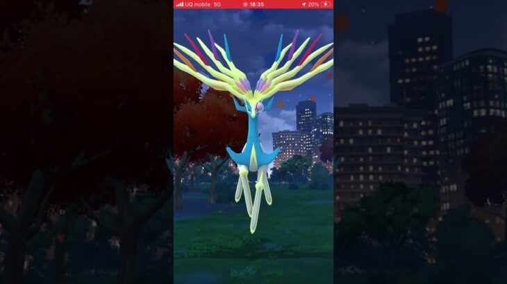 1回目で色違いゼルネアス！ 【ポケモンGO】 #ポケモン #ポケモンgo #shorts