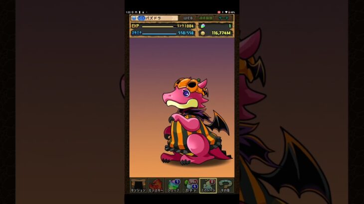 【1連】ハロウィンヴァルキリーCIEL狙い②【パズドラ】