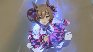 ウマ娘 プリティーダービー エキシビジョン マイルチャンピオンシップ南部杯２０２６