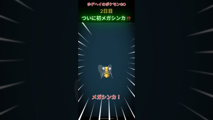 ホゲヘイのポケモンGO2日目「ついに初メガシンカ!?」 #ポケモン #ポケモンGO