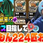 【ドラクエウォーク】2ヶ月連続オルゴ・デミーラ極ゲット！！なかもん224匹お別れ‼︎『これがなかもんの現実なのか』【なかまモンスター】【DQW】