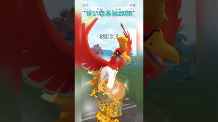 【マスターリーグ】ザシアンを起点にしたホウオウが強い！【ポケモンGO】【バトルリーグ】#shorts #ポケモンgo #goバトルリーグ #gbl #マスターリーグ #pokemongo