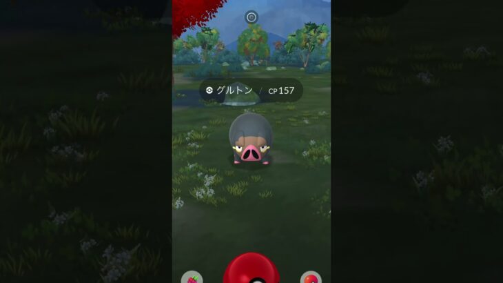 ポケモンGO初心者🔰