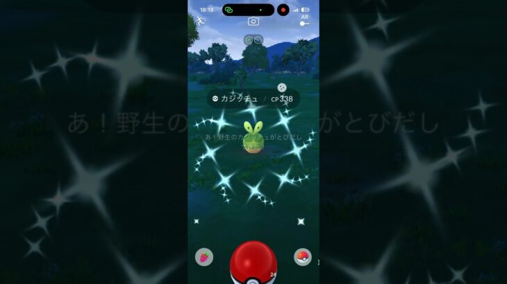 【ポケモンGO】色違いカジッチュ、ゲットだぜ！ #shinypokemon