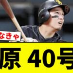 【うおおおおおおお！！】栗原 40号！【プロ野球反応集】