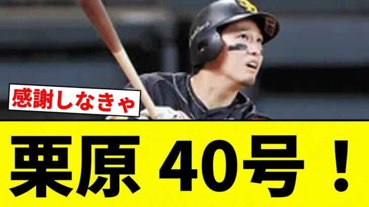 【うおおおおおおお！！】栗原 40号！【プロ野球反応集】