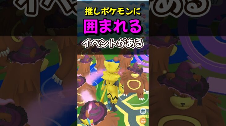 【ポケモンGO】リングマくんだらけの素敵なイベント！ゾロアのコミニティデイが嬉しすぎた！#ポケモンgo #ポケモン #shorts
