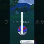#snowman #ポケモン #ポケモンgo #pokemongo #pokemon #pokémon #ai
