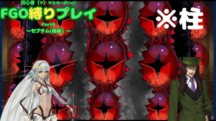 【FGO】触手プ◯イっていいよね。　初心者（？）マスターが行くFGO縛りプレイ Part6【VOICEVOX実況/解説】