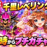 【ドラクエウォーク LIVE】11時開始🔥千里レベリングで爆速経験値稼ぎ！！15時からプチガチャ開催【DQウォーク】