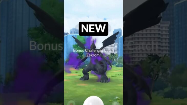 NEW Shadow Zekrom CAUGHT in Pokemon Go, BUT WAS IT GOOD?! #shorts #pokemon