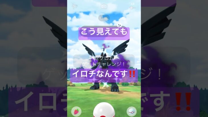 色違いのシャドウゼクロムげっとちゃれんじ！#ポケモンgo #pokemongo