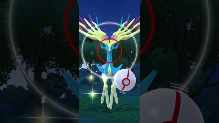 (ポケモンgo)ゼルネアス色違いゲット‼️
