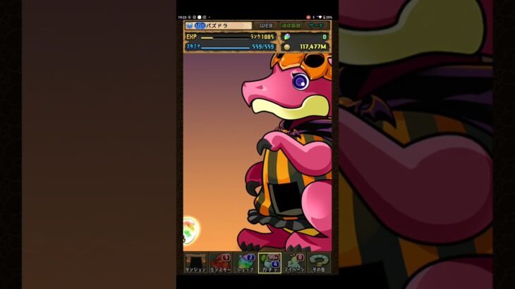 【2連】ハロウィンガチャ10日目と【パズドラ】
