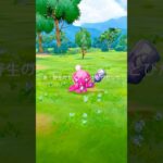 【ポケモンGO】カヌチャン【宝探しの旅路(12/12)