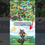 What!😲Wild✨️Shiny Mega Rayquaza Nest🤣in pokemon Go