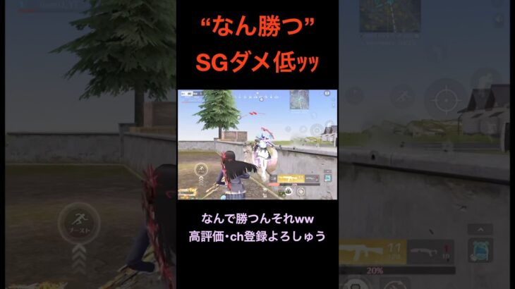 “なんかつ”個体値低いSGww【荒野行動】 #荒野行動 #クリップ #キル集