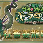 《 FGO攻略》來養隻肥肥胖胖的龍寶寶吧｜培育吧！我的小小龍｜｜DA的攻略系列