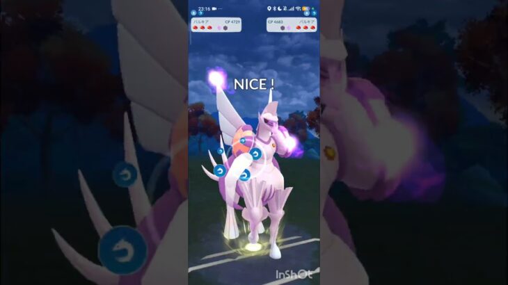 ポケモンGOバトルリーグ　メガマスターリーグ 137