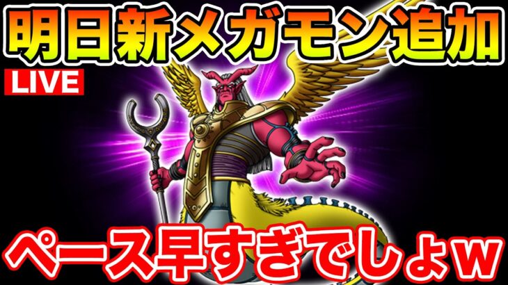 【ドラクエウォーク】早すぎる…もう明日メガモン追加なんだけど!! 質問随時OKです!!【DQW】