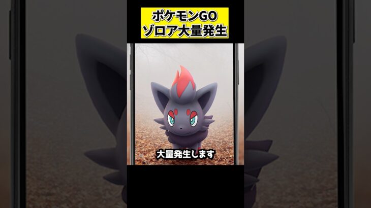 ポケモンGOのコミュニティ・デイでゾロアが大量発生！！ #pokemon #ポケモン #pokemongo #ポケモンgo