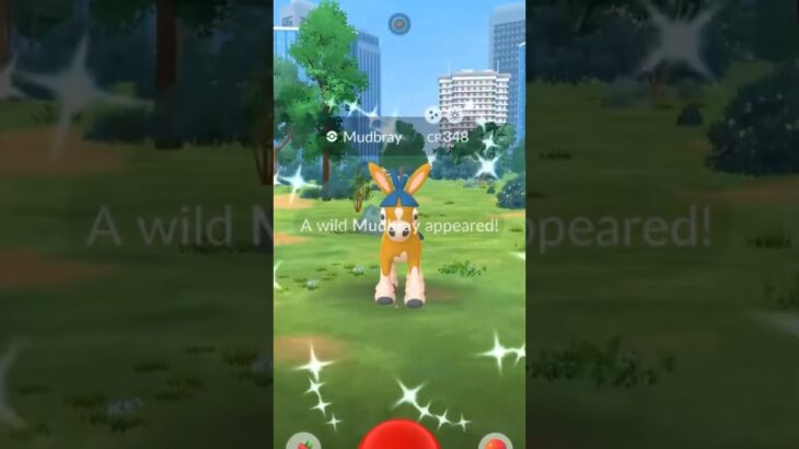 ✨SHINY MUDBRAY Caught In Pokemon Go!!!✨ #shorts #pokemon