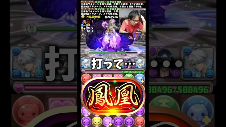 【火力エグい】日番谷冬獅郎パーティ強すぎる #たかし #パズドラ