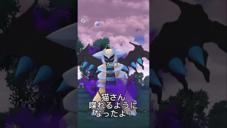 【ポケモンGO】シャドー色違いのギラティナ！？+おまけ　#ポケモン #ポケモンgo #シャドー色違い　#色違い #ゲーム実況 #shorts