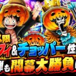 [トレクル]新フェス限ルフィ＆チョッパー性能評価！トレジャースゴフェス第一弾も開幕勝負！[OPTC][トレジャーマップ]