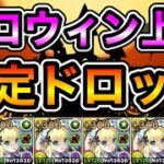 【パズドラ】3,000モンポ確定ドロップ！お菓子袋とモンポを集めよう！ハロウィンナイト！仮装祭！上級！1周1分台！ずらしのみ編成で高速周回！