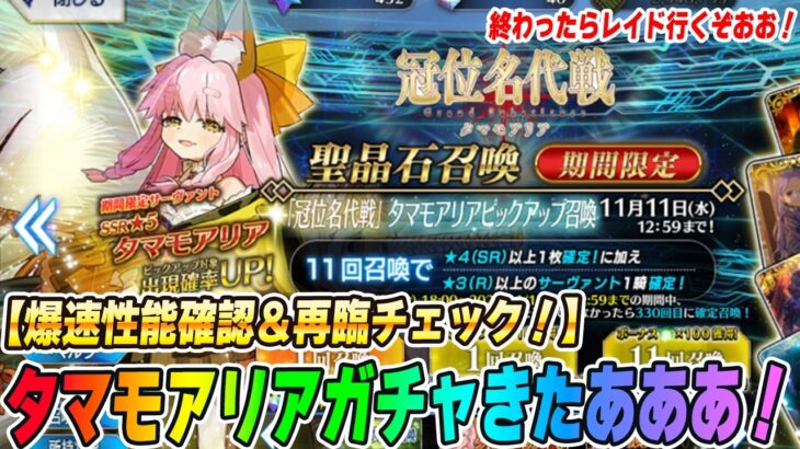【FGO】タマモアリア速攻でガチャ引いて性能確認！【名代戦PU】