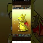 【パズドラ】出張公式生放送いったので5連ガチャドラのガチャ2回分引く（2026年編）