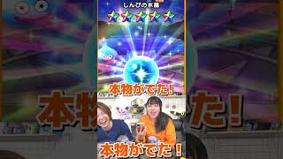 【ドラクエウォーク】7周年おたから装備ガチャで念願の武器を出す夫婦w【切り抜き】